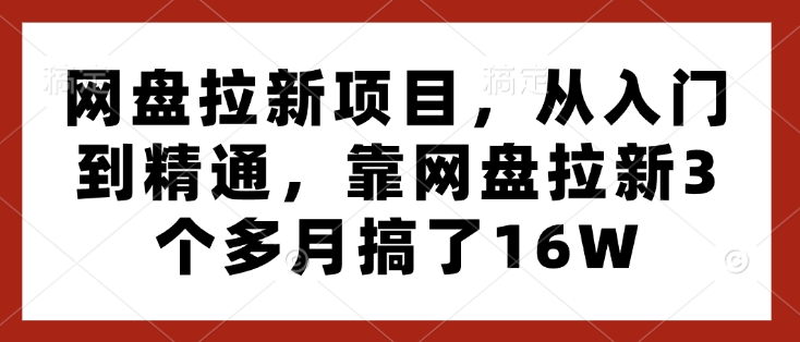 网盘拉新项目，从入门到精通，靠网盘拉新3个多月搞了16W-禾谷轻创网
