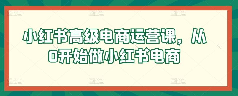 小红书高级电商运营课，从0开始做小红书电商-禾谷轻创网