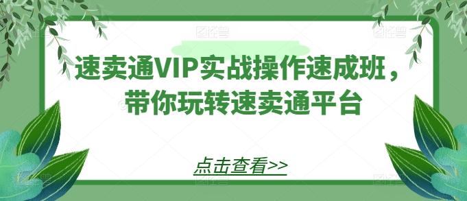 速卖通VIP实战操作速成班，带你玩转速卖通平台-禾谷轻创网