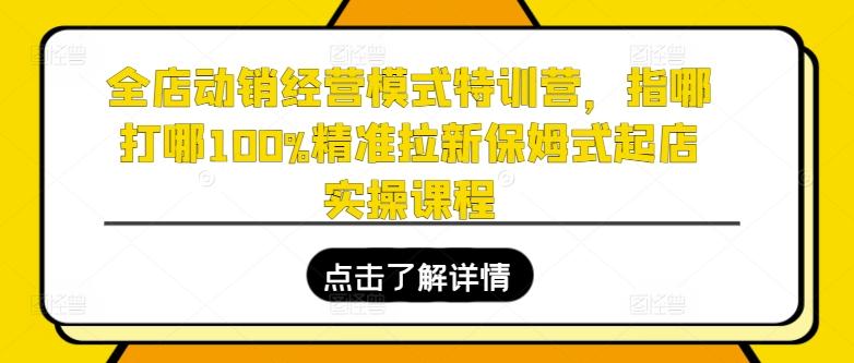 全店动销经营模式特训营，指哪打哪100%精准拉新保姆式起店实操课程-禾谷轻创网