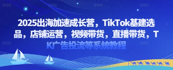 2025出海加速成长营，TikTok基建选品，店铺运营，视频带货，直播带货，TK广告投流等系统教程-禾谷轻创网