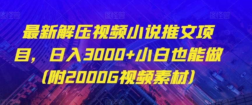 最新解压视频小说推文项目，日入3000+小白也能做（附2000G视频素材）【揭秘】-禾谷轻创网