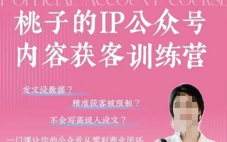 桃子IP公众号内容获客训练营(第3期)，一门让你公众号从0到商业闭环的课程-禾谷轻创网