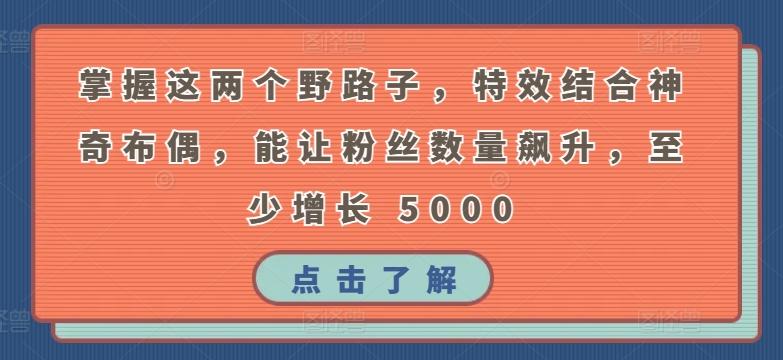 掌握这两个野路子，特效结合神奇布偶，能让粉丝数量飙升，至少增长 5000【揭秘】-禾谷轻创网