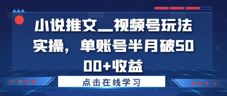 小说推文—视频号玩法实操，单账号半月破5000+收益-禾谷轻创网