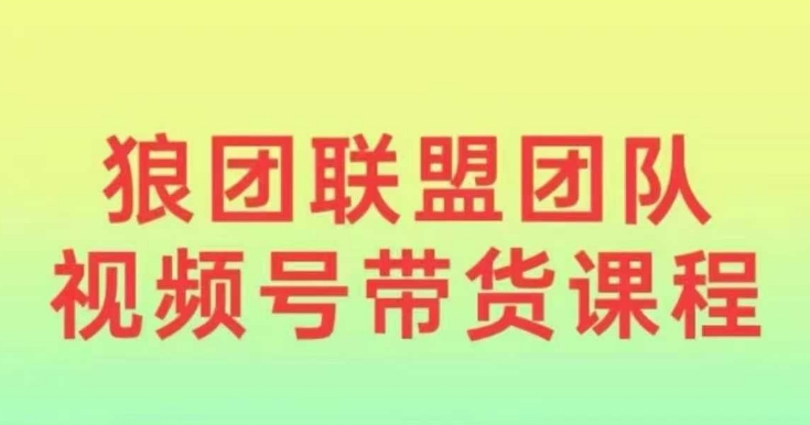 狼团联盟2024视频号带货，0基础小白快速入局视频号-禾谷轻创网