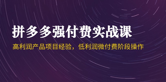 拼多多强付费实战课-44期，高利润产品项目经验，低利润微付费阶段操作-禾谷轻创网