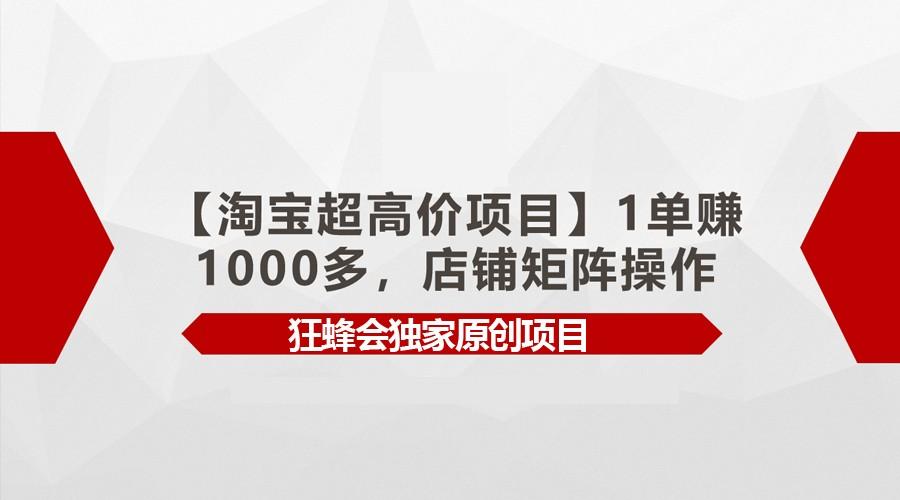 【淘宝超高价项目】1单赚1000多，店铺矩阵操作-禾谷轻创网