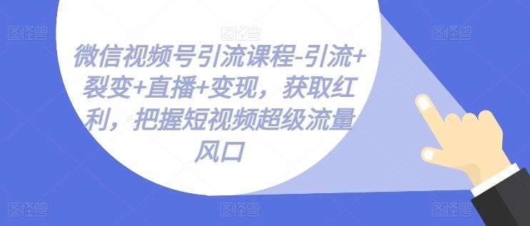 微信视频号引流课程-引流+裂变+直播+变现，获取红利，把握短视频超级流量风口-禾谷轻创网