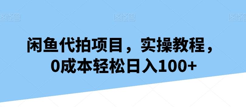 闲鱼代拍项目，实操教程，0成本轻松日入100+-禾谷轻创网