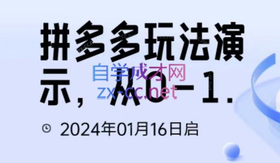 吴老师·拼多多从选品到截流到付费的玩法技巧-禾谷轻创网