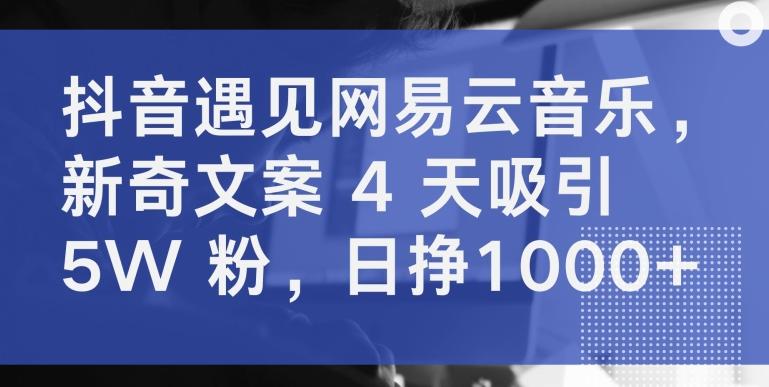 抖音遇见网易云音乐，新奇文案 4 天吸引 5W 粉，日挣1000+【揭秘】-禾谷轻创网