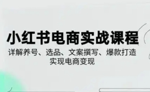 小红书从0-1实操课(2023-2025)，详解养号、选品、文案撰写、爆款打造实现电商变现-禾谷轻创网