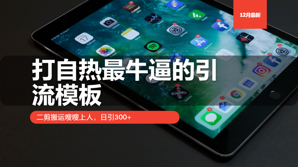 打自热最牛逼的引流模板，二剪搬运嗖嗖上人，日引300+-禾谷轻创网