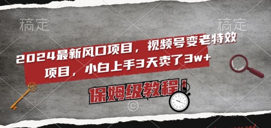 2024最新风口项目，视频号变老特效项目，电脑小白上手3天卖了3w+，保姆级教程【揭秘】-禾谷轻创网