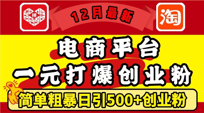 12月最新：电商平台1元打爆创业粉，简单粗暴日引500+精准创业粉，轻松月入过W【揭秘】-禾谷轻创网