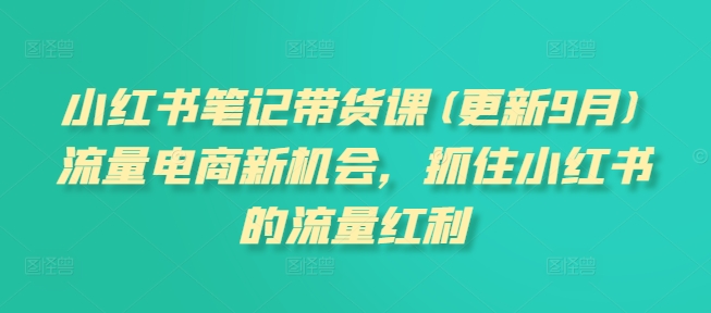 小红书笔记带货课(更新25年1月)流量电商新机会，抓住小红书的流量红利-禾谷轻创网