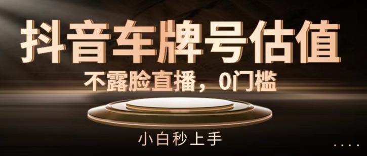 抖音车牌号估值，不露脸直播，0门槛，小白秒上手【揭秘】-禾谷轻创网
