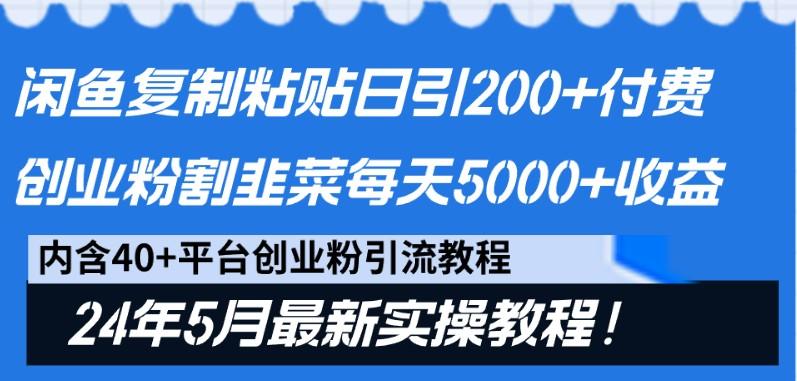 闲鱼复制粘贴日引200+付费创业粉，24年5月最新方法！割韭菜日稳定5000+收益-禾谷轻创网