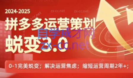 大力老师·2024拼多多运营策略蜕变3.0-禾谷轻创网