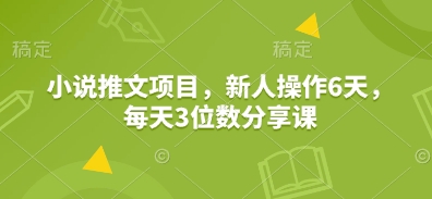 小说推文项目，新人操作6天，每天3位数分享课-禾谷轻创网