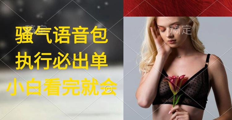 (9589期)执行就出单，日入2000+，超火骚气语音包，小白看完课程就能马上实操-禾谷轻创网