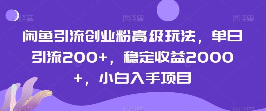 闲鱼引流创业粉高级玩法，单日引流200+，稳定收益2000+，小白入手项目-禾谷轻创网