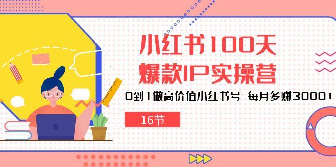 小红书100天-爆款IP实操营，0到1做高价值小红书号 每月多赚3000+(16节-禾谷轻创网