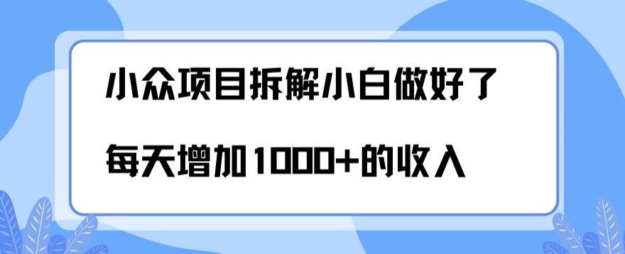 小众项目拆解，小白做好了每天可增加1000多的收入-禾谷轻创网