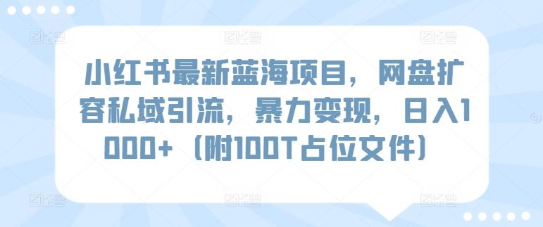 小红书最新蓝海项目，网盘扩容私域引流，暴力变现，日入1000+(附100T占位文件)【揭秘】-禾谷轻创网