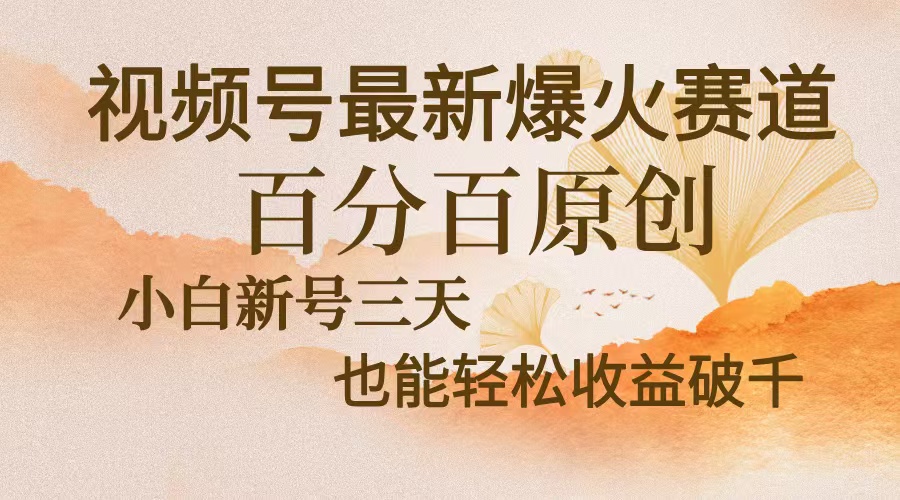 视频号最新爆火赛道，中老年粉深信不疑，百分百原创，新号三天收益轻松...-禾谷轻创网
