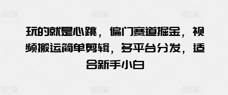 玩的就是心跳，偏门赛道掘金，视频搬运简单剪辑，多平台分发，适合新手小白【揭秘】-禾谷轻创网