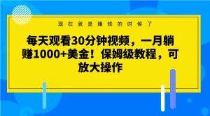 每天观看30分钟视频，一月躺赚1000+美金！保姆级教程，可放大操作【揭秘】-禾谷轻创网