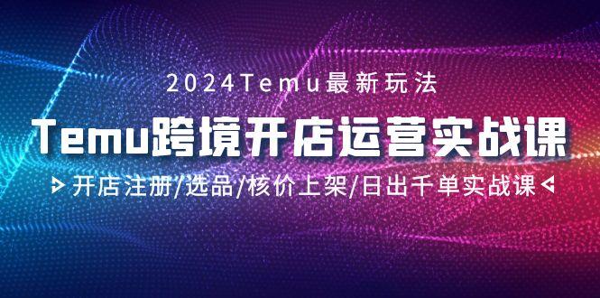 2024Temu跨境开店运营实战课，开店注册/选品/核价上架/日出千单实战课-禾谷轻创网