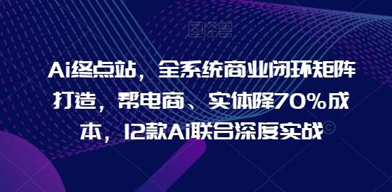 Ai终点站，全系统商业闭环矩阵打造，帮电商、实体降70%成本，12款Ai联合深度实战-禾谷轻创网