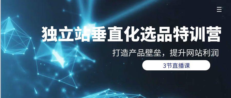 (9925期)独立站-垂直化选品训练营，打造产品壁垒，提升网站利润(3节直播课)-禾谷轻创网