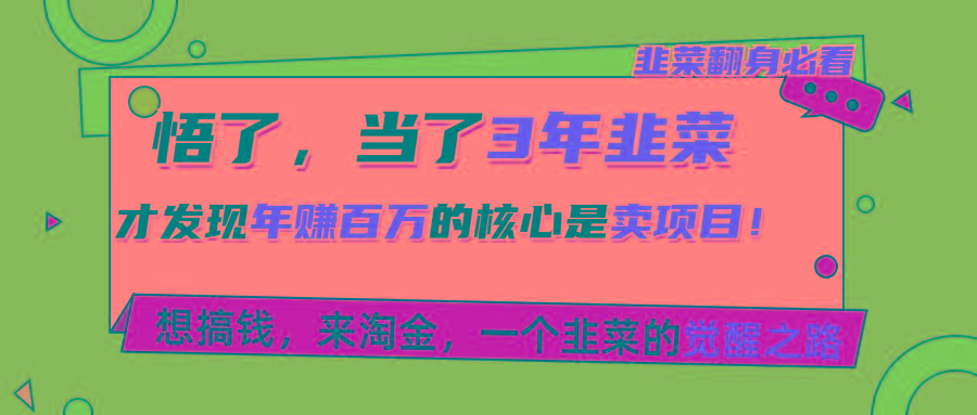 悟了，当了3年韭菜，才发现网赚圈年赚100万的核心是卖项目，含泪分享！-禾谷轻创网