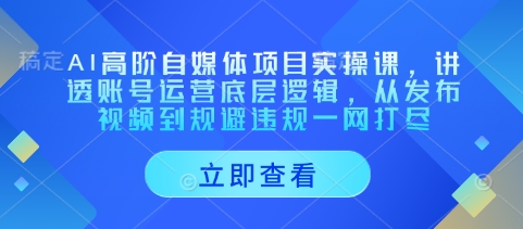 AI高阶自媒体项目实操课，讲透账号运营底层逻辑，从发布视频到规避违规一网打尽-禾谷轻创网
