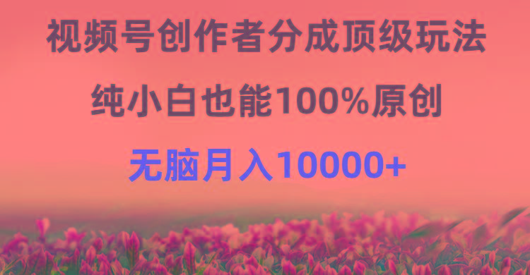 (9608期)视频号创作者分成顶级玩法，纯小白也能100%原创，无脑月入10000+-禾谷轻创网