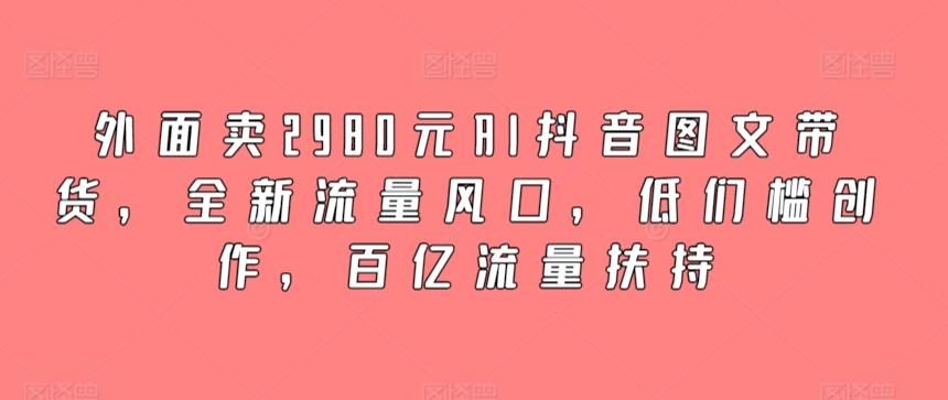 外面卖2980元AI抖音图文带货，全新流量风口，低们槛创作，百亿流量扶持-禾谷轻创网