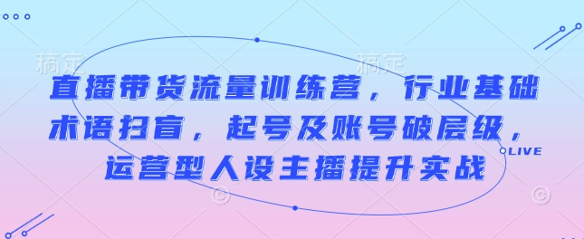直播带货流量训练营，行业基础术语扫盲，起号及账号破层级，运营型人设主播提升实战-禾谷轻创网