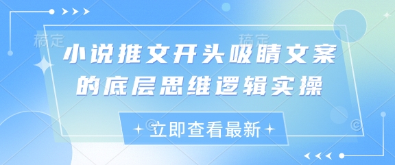 小说推文开头吸睛文案的底层思维逻辑实操-禾谷轻创网