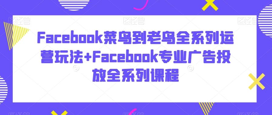 Facebook菜鸟到老鸟全系列运营玩法+Facebook专业广告投放全系列课程-禾谷轻创网