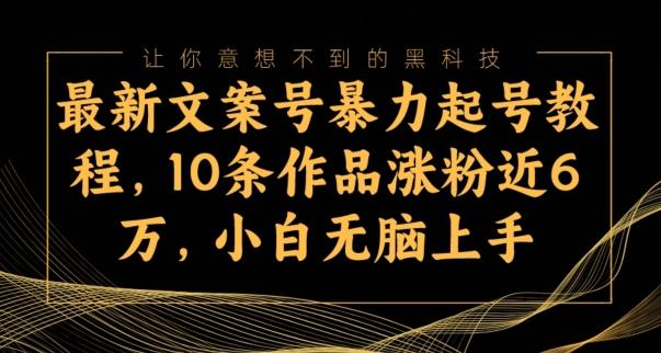 最新文案号暴力起号教程，10条作品涨粉近6万，小白无脑上手-禾谷轻创网