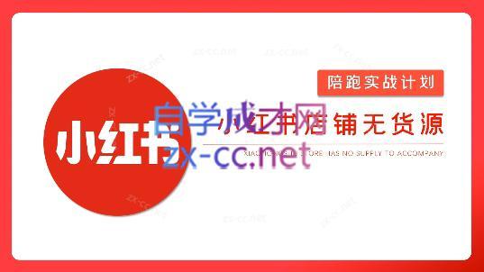 安琪·小红书店铺无货源-禾谷轻创网