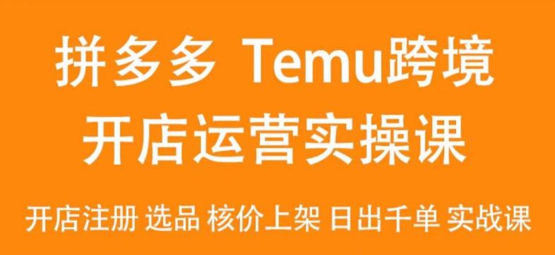 2024Temu最新玩法，Temu跨境开店运营实操课，开店注册/选品/核价上架/日出千单实战课-禾谷轻创网