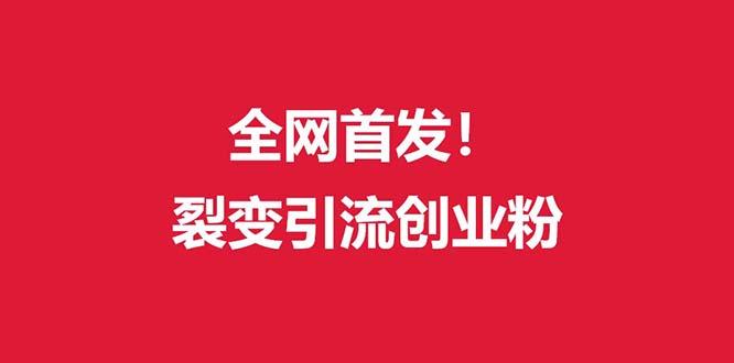 (全网首发)外面收费几千的裂变引流高质量创业粉-禾谷轻创网