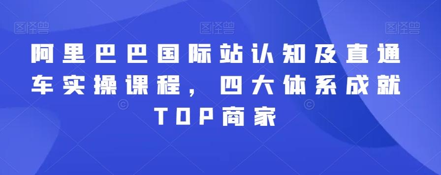 阿里巴巴国际站认知及直通车实操课程，四大体系成就TOP商家-禾谷轻创网