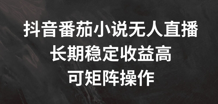 抖音番茄小说无人直播，长期稳定收益高，可矩阵操作【揭秘】-禾谷轻创网