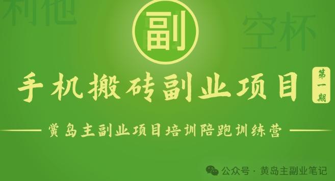 手机搬砖小副业项目训练营1.0，实测1小时收益50+，一部手机轻松日入100+-禾谷轻创网